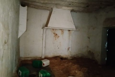 Landejendom i Caniles, Granada, Caniles - € 21.000 | Ref: v3138 - foto 5