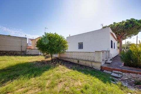 Villa a Torrevieja, Alicante, Torrevieja - € 320.000 | Ref: OH02045/10701 - foto 28