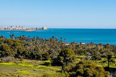 Villa a Torrevieja, Alicante, Torrevieja - € 320.000 | Ref: OH02045/10701 - foto 43