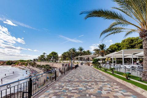 Villa a Torrevieja, Alicante, Torrevieja - € 320.000 | Ref: OH02045/10701 - foto 46