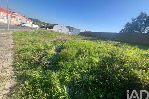 Helårsgrund i Cadaval, Lisbon, Cadaval - € 42.000 | Ref: 129449 - foto 6