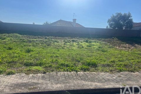 Helårsgrund i Cadaval, Lisbon, Cadaval - € 42.000 | Ref: 129449 - foto 19