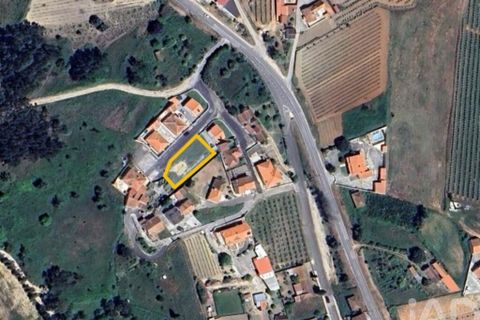 Helårsgrund i Cadaval, Lisbon, Cadaval - € 42.000 | Ref: 129449 - foto 21
