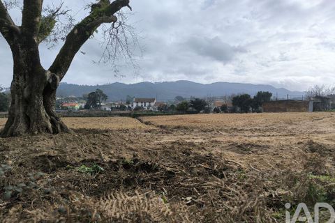 Terra a Ponte de Lima, Viana do Castelo, Ponte de Lima - € 90.000 | Ref: 791584 - foto 3