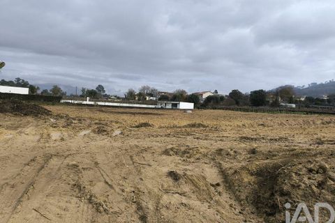 Terra a Ponte de Lima, Viana do Castelo, Ponte de Lima - € 90.000 | Ref: 791584 - foto 4