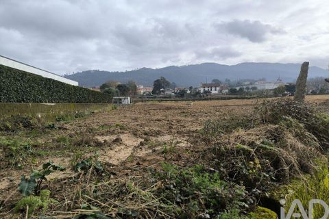 Terra a Ponte de Lima, Viana do Castelo, Ponte de Lima - € 90.000 | Ref: 791584 - foto 6