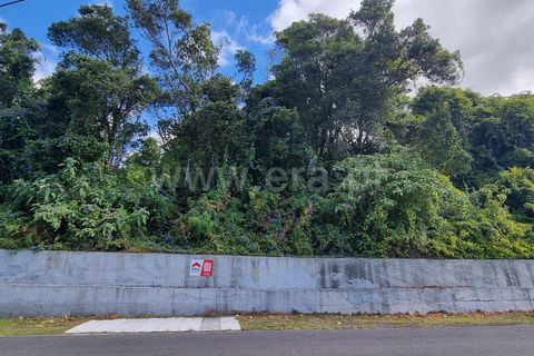 Helårsgrund i Lajes do Pico, Pico, Lajes do Pico - € 37.000 | Ref: 374240235 - foto 4