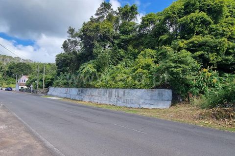 Helårsgrund i Lajes do Pico, Pico, Lajes do Pico - € 37.000 | Ref: 374240235 - foto 5