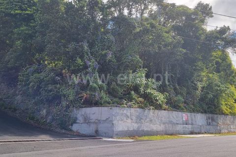 Helårsgrund i Lajes do Pico, Pico, Lajes do Pico - € 37.000 | Ref: 374240235 - foto 6