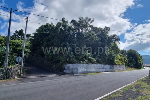 Helårsgrund i Lajes do Pico, Pico, Lajes do Pico - € 37.000 | Ref: 374240235 - foto 7