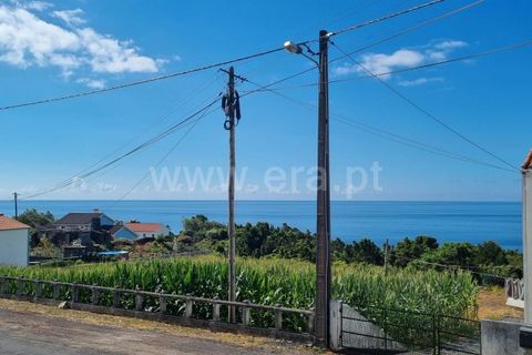 Helårsgrund i Lajes do Pico, Pico, Lajes do Pico - € 37.000 | Ref: 374240235 - foto 8