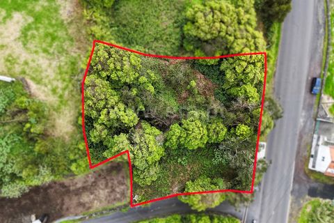 Helårsgrund i Lajes do Pico, Pico, Lajes do Pico - € 37.000 | Ref: 374240235 - foto 2