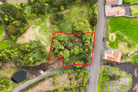 Helårsgrund i Lajes do Pico, Pico, Lajes do Pico - € 37.000 | Ref: 374240235 - foto 3