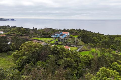 Helårsgrund i Lajes do Pico, Pico, Lajes do Pico - € 37.000 | Ref: 374240235 - foto 11