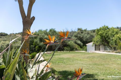 Villa i Budens, Faro, Budens - € 1.495.000 | Ref: V1283 - foto 47