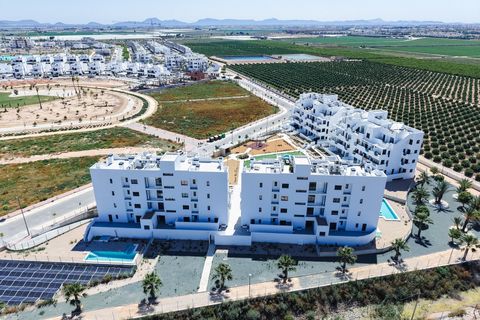 Penthouse i Torre Pacheco, Murcia, Torre Pacheco - € 388 000 | Ref: C041-D27-P22 - foto 25