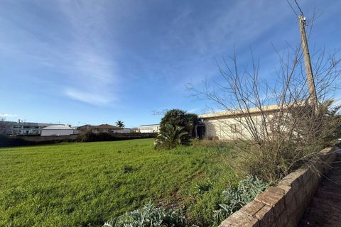 Terra a Modica, Ragusa, Modica - € 245.000 | Ref: L 2156 - foto 14
