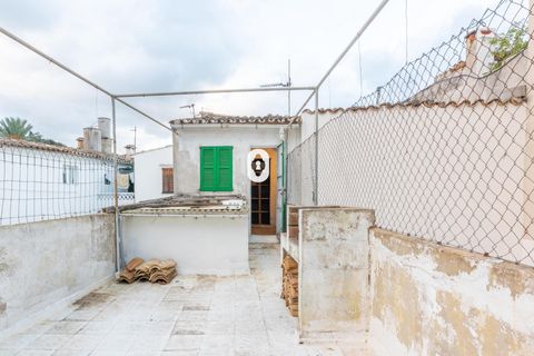 Rækkehus i Pollenca, Mallorca, Pollenca - € 595.000 | Ref: P002500/10684 - foto 32