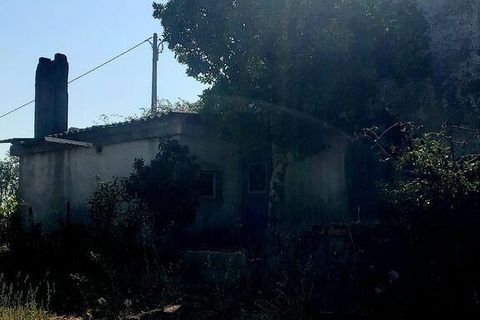 Byhus i Macao, Santarem, Macao - € 75.000 | Ref: 693917 - foto 9