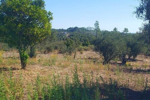Byhus i Macao, Santarem, Macao - € 75.000 | Ref: 693917 - foto 22