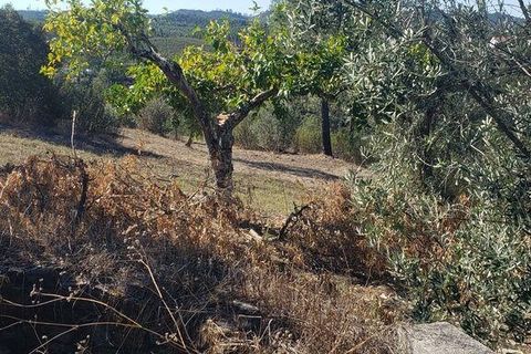 Byhus i Macao, Santarem, Macao - € 75.000 | Ref: 693917 - foto 27