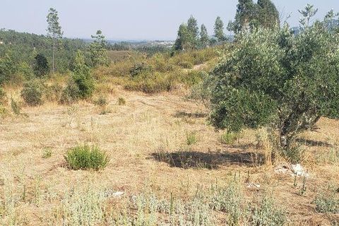 Byhus i Macao, Santarem, Macao - € 75.000 | Ref: 693917 - foto 28
