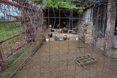 Terra a Gijon, Asturias, Gijon - € 40.000 | Ref: EXP12700/8930 - foto 18