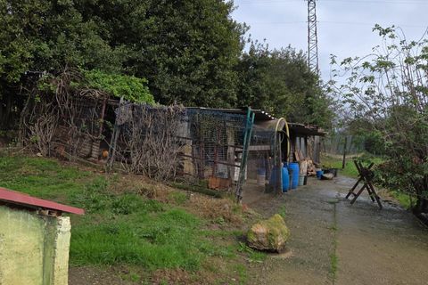 Terra a Gijon, Asturias, Gijon - € 40.000 | Ref: EXP12700/8930 - foto 20