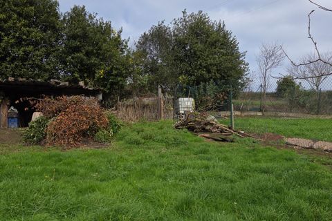 Terra a Gijon, Asturias, Gijon - € 40.000 | Ref: EXP12700/8930 - foto 22
