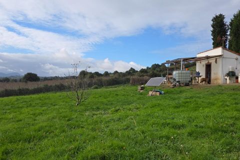 Terra a Gijon, Asturias, Gijon - € 40.000 | Ref: EXP12700/8930 - foto 24