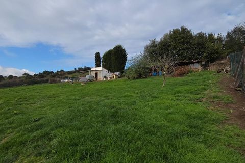 Terra a Gijon, Asturias, Gijon - € 40.000 | Ref: EXP12700/8930 - foto 29