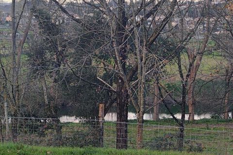 Helårsgrund i Trofa, Porto, Trofa - € 275.000 | Ref: 785543 - foto 6