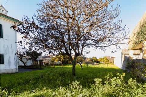 Villa a Cantanhede, Coimbra, Cantanhede - € 300.000 | Ref: CNTSR 6204 - foto 16