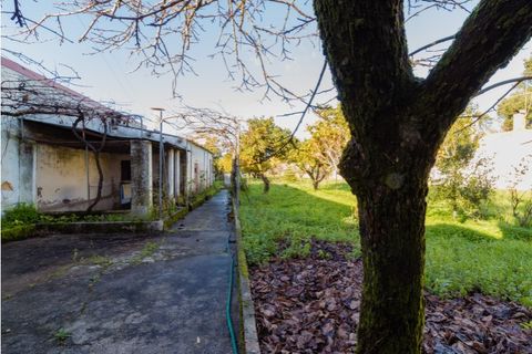 Villa a Cantanhede, Coimbra, Cantanhede - € 300.000 | Ref: CNTSR 6204 - foto 23
