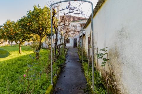 Villa a Cantanhede, Coimbra, Cantanhede - € 300.000 | Ref: CNTSR 6204 - foto 24