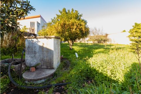 Villa a Cantanhede, Coimbra, Cantanhede - € 300.000 | Ref: CNTSR 6204 - foto 25