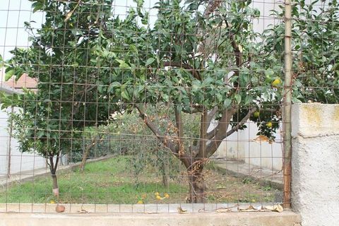 Byhus i Cianciana, Agrigento, Cianciana - € 159.000 | Ref: Casa Marra - foto 20