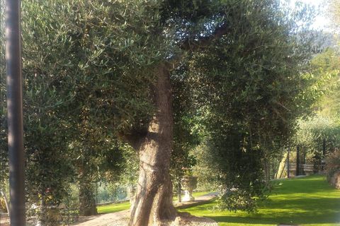 Villa a Perinaldo, Imperia, Perinaldo - € 220.000 | Ref: 1122 - foto 8