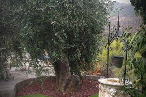 Villa a Perinaldo, Imperia, Perinaldo - € 220.000 | Ref: 1122 - foto 10