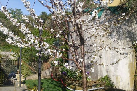 Villa a Perinaldo, Imperia, Perinaldo - € 220.000 | Ref: 1122 - foto 21