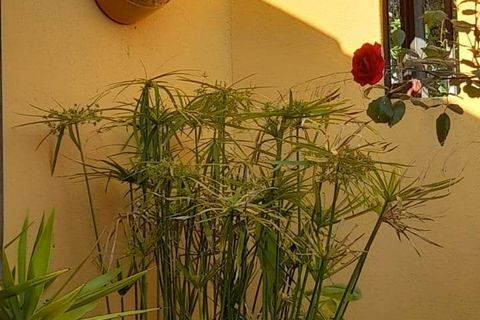 Villa a Perinaldo, Imperia, Perinaldo - € 220.000 | Ref: 1122 - foto 24
