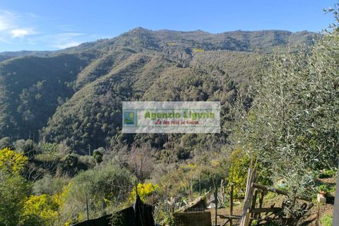 Villa a Perinaldo, Imperia, Perinaldo - € 220.000 | Ref: 1122 - foto 27