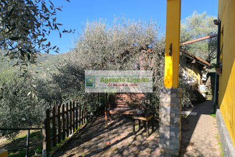 Villa a Perinaldo, Imperia, Perinaldo - € 220.000 | Ref: 1122 - foto 28