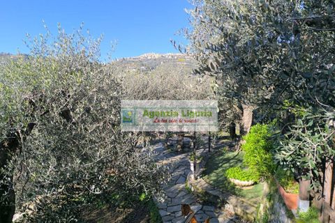 Villa a Perinaldo, Imperia, Perinaldo - € 220.000 | Ref: 1122 - foto 29