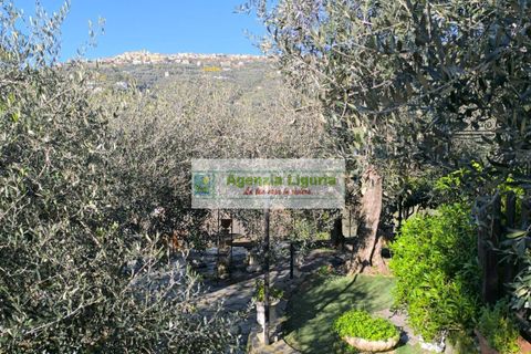 Villa a Perinaldo, Imperia, Perinaldo - € 220.000 | Ref: 1122 - foto 30