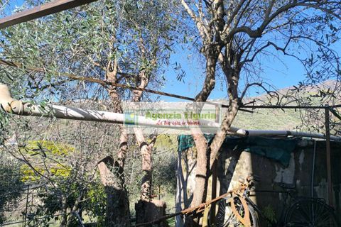 Villa a Perinaldo, Imperia, Perinaldo - € 220.000 | Ref: 1122 - foto 33