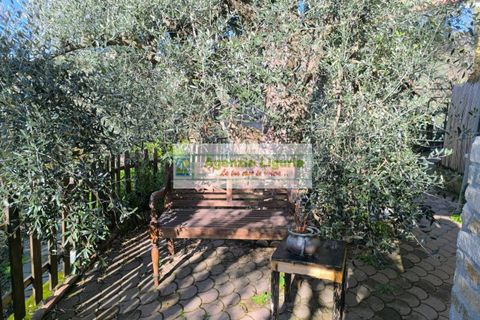 Villa a Perinaldo, Imperia, Perinaldo - € 220.000 | Ref: 1122 - foto 36