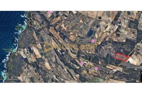 Farm i Odeceixe, Faro, Odeceixe - € 130.000 | Ref: MAS_417 - foto 2