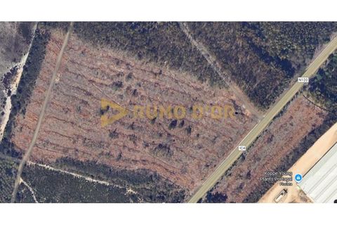 Farm i Odeceixe, Faro, Odeceixe - € 130.000 | Ref: MAS_417 - foto 4
