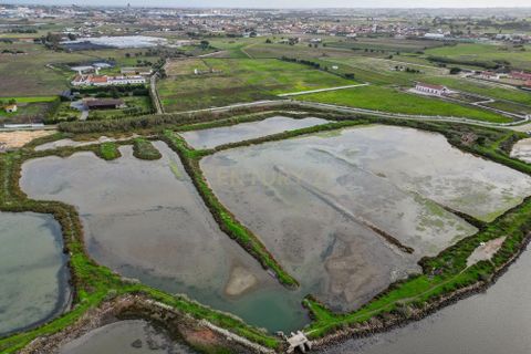 Helårsgrund i Montijo, Setubal, Montijo - € 195.000 | Ref: C0222-06769 - foto 8